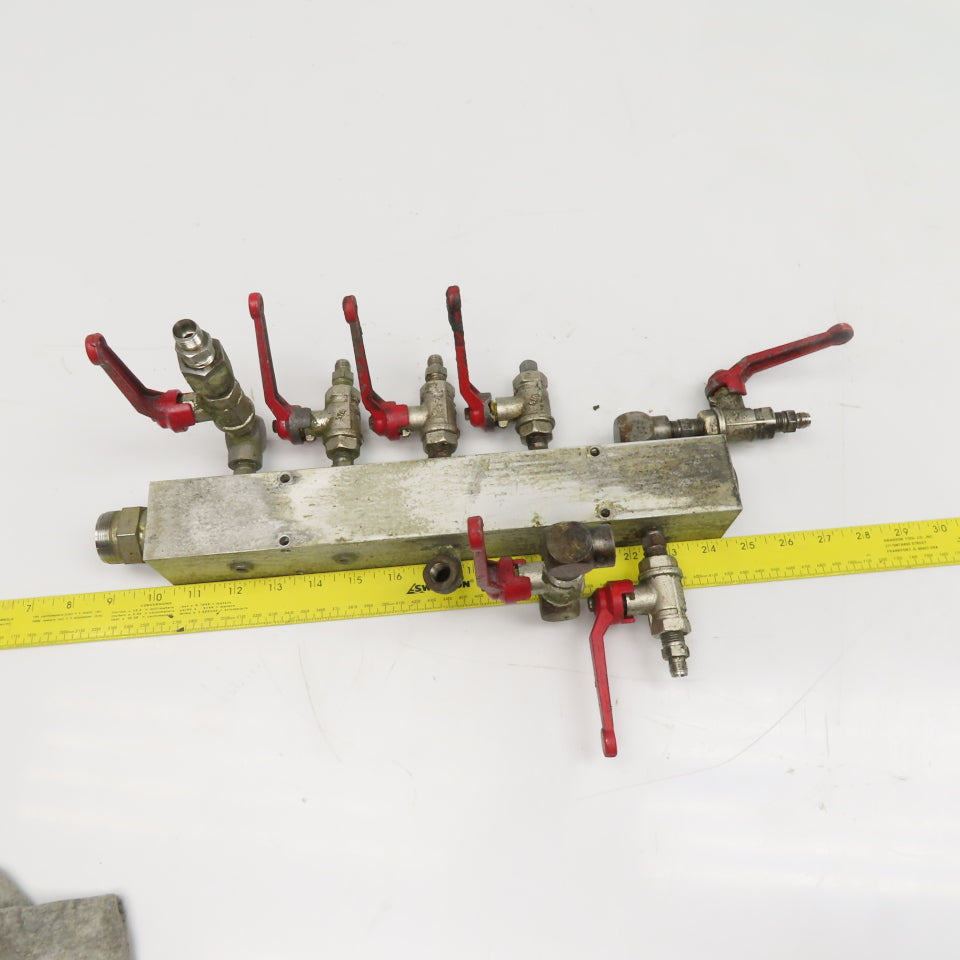 Aluminum 10 Port Parallel Manifold W/ Valves 1/4" NPT