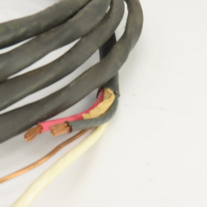 ESSEXEP 8 AWG 3 Conductor Cable W/10AWG Ground Type NM-B 15' W/30A Plug