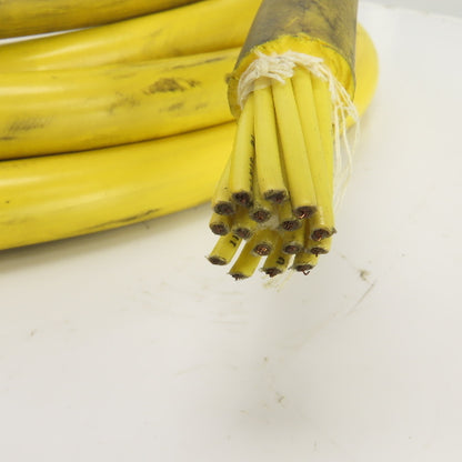 Harnischfeger E-51553 P-H 754 14 AWG 16 Conductor Flexing Cable 600V MTW 19'
