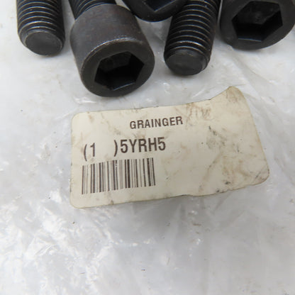 Grainger 5YRH5 M16-2.0 x 55mm OAL Socket Head Cap Screw SHCS Gr. 12.9  Lot of 25