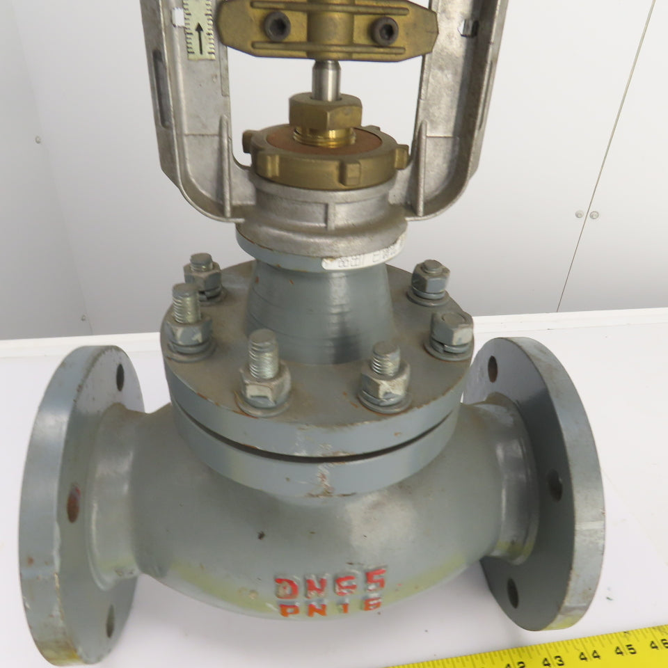 DN65 PN16 2-1/2" Flanged Globe Valve W/S6062-18A Electric Actuator 24VAC
