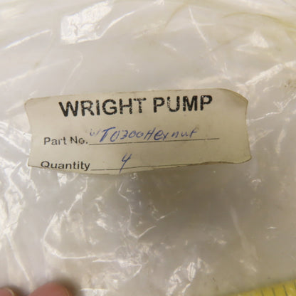 Wright Pump T0300HEXNUT 5/16-18 Stainless Steel Pump Housing Hex Nut Lot Of 4