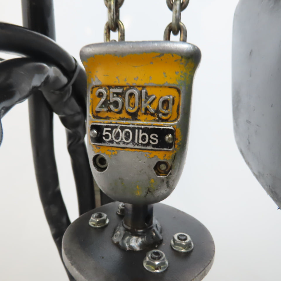 Demag PKV!-VI 1/4 Ton Electric Chain Hoist 460V 3PH 14' Lift 2 Speed 4/16FPM