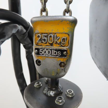 Demag PKV!-VI 1/4 Ton Electric Chain Hoist 460V 3PH 14' Lift 2 Speed 4/16FPM