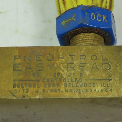 Deltrol EFL-25-B PENU-TROL Easy Read Pneumatic Brass Flow Control Valve