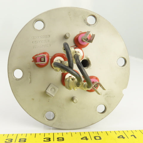 Heatwell Flanged Immersion Heater 480V 12000W 415V 9000W 220V 7500W 10-3/4" L