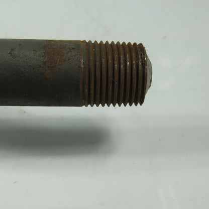 1/2" Carbon Steel Straight Gauge Siphon ("Pig Tail") Heavy Wall 1/4" ID