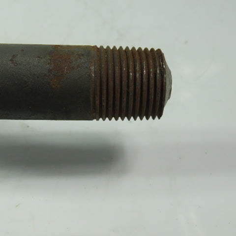 1/2" Carbon Steel Straight Gauge Siphon ("Pig Tail") Heavy Wall 1/4" ID