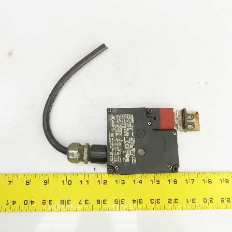 Omron D4NL-4EFB-B Guard Lock Safety Door Switch 240VAC W/Key