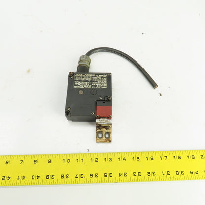 Omron D4NL-4EFB-B Guard Lock Safety Door Switch 240VAC W/Key