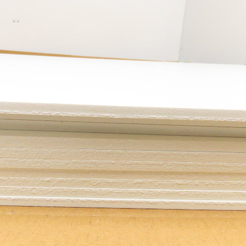 Spectra Tile SPT6021P 2' x 4'  White Finale Waterproof Ceiling Tiles Lot Of 10