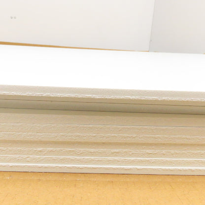 Spectra Tile SPT6021P 2' x 4'  White Finale Waterproof Ceiling Tiles Lot Of 10