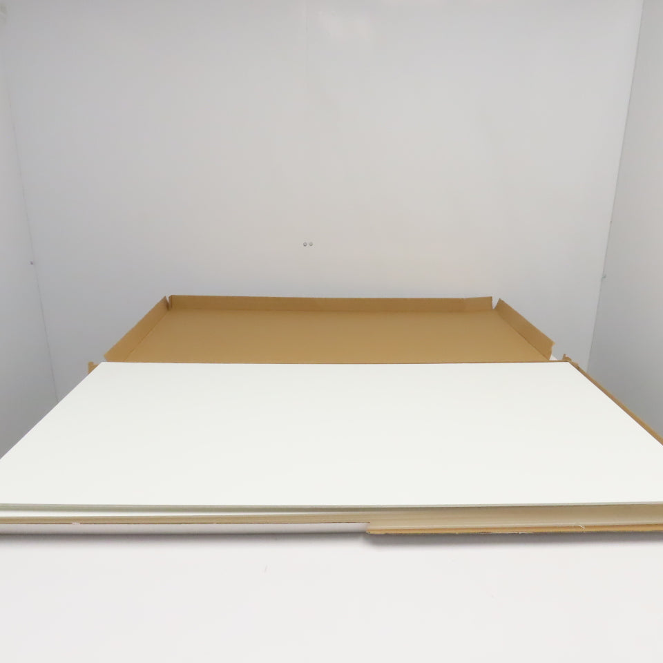 Spectra Tile SPT6021P 2' x 4'  White Finale Waterproof Ceiling Tiles Lot Of 10