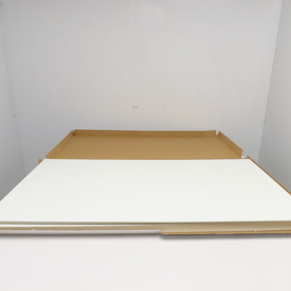 Spectra Tile SPT6021P 2' x 4'  White Finale Waterproof Ceiling Tiles Lot Of 10