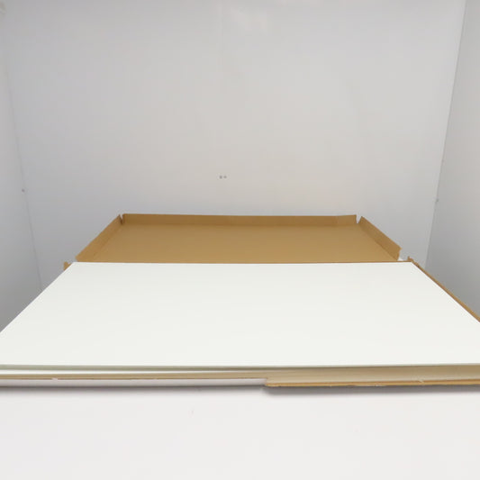 Spectra Tile SPT6021P 2' x 4'  White Finale Waterproof Ceiling Tiles Lot Of 10