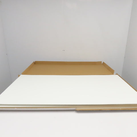 Spectra Tile SPT6021P 2' x 4'  White Finale Waterproof Ceiling Tiles Lot Of 10