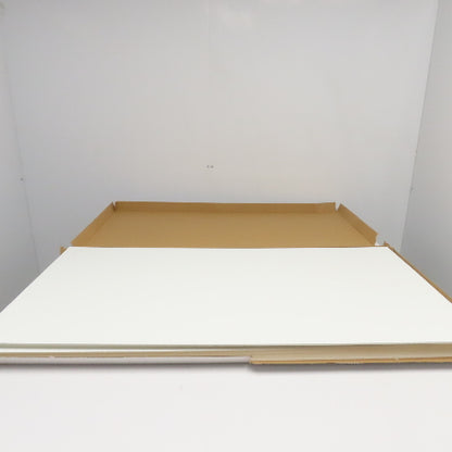 Spectra Tile SPT6021P 2' x 4'  White Finale Waterproof Ceiling Tiles Lot Of 10