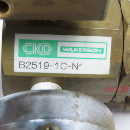 CKD Wilkerson B2519-1C-N 1/4" NPT Brass  Air Pressure Regulator Manifold