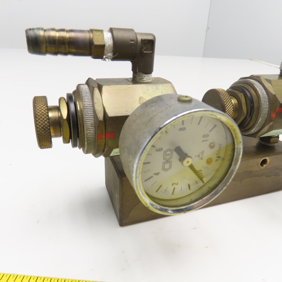 CKD Wilkerson B2519-1C-N 1/4" NPT Brass  Air Pressure Regulator Manifold