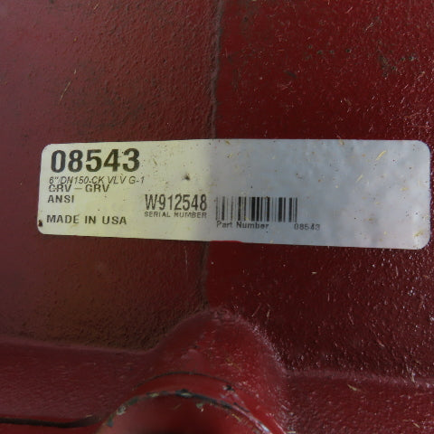 Viking 08543 Mod. G-1 6" Swing Check Valve 300 PSI MWP DN/150