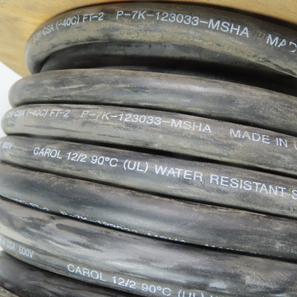 Carol Water Resistant 12/2 SOW CSA 12 AWG 600V Wire Cable 90'