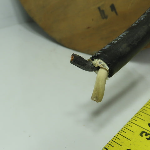 Carol Water Resistant 12/2 SOW CSA 12 AWG 600V Wire Cable 90'