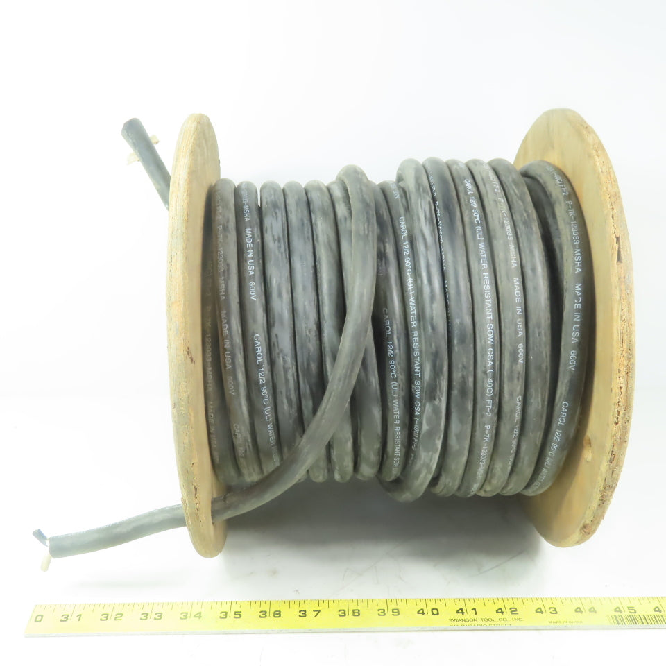 Carol Water Resistant 12/2 SOW CSA 12 AWG 600V Wire Cable 90'