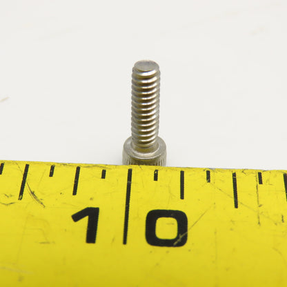 #6-32 x 1/2" Stainless Steel Socket Head Cap Screw Lot Of 500