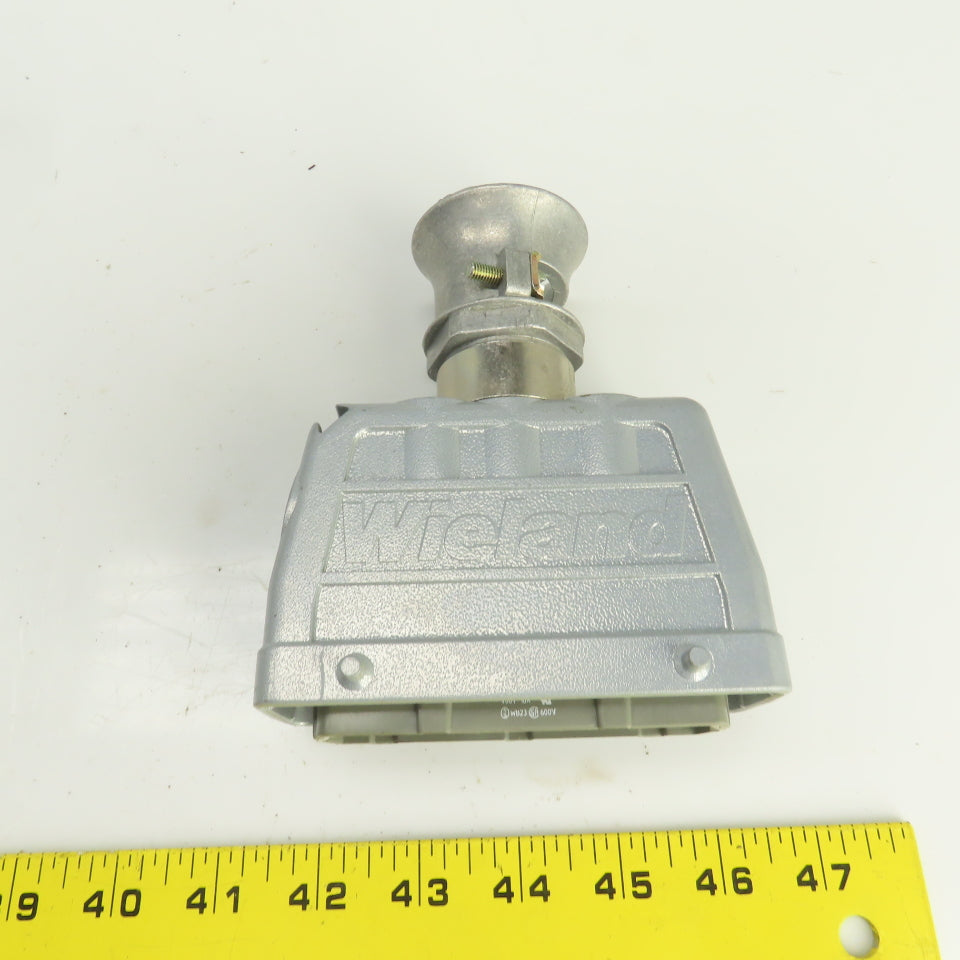 Wieland 70.310.2440 2-Row Male Connector 400V 16A 24 Pin W/73.362.6428.0 Hood