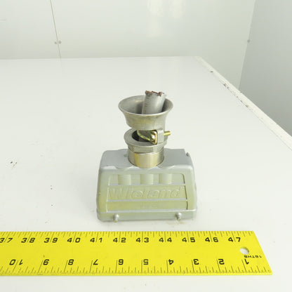 Wieland 70.310.2440 2-Row Male Connector 400V 16A 24 Pin W/73.362.6428.0 Hood