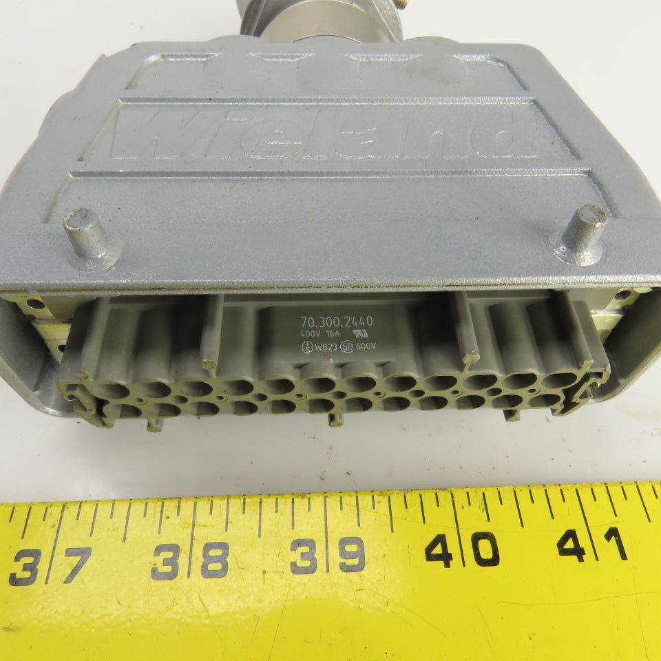 Wieland 70.300.2440 2-Row Female Connector 400V 16A 24 Hole W/73.362.6428.0 Hood