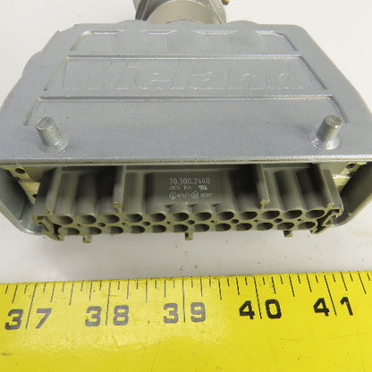 Wieland 70.300.2440 2-Row Female Connector 400V 16A 24 Hole W/73.362.6428.0 Hood