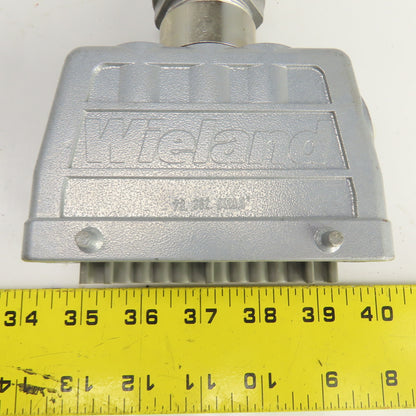 Wieland 70.300.2440 2-Row Female Connector 400V 16A 24 Hole W/73.362.6428.0 Hood