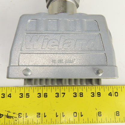 Wieland 70.300.2440 2-Row Female Connector 400V 16A 24 Hole W/73.362.6428.0 Hood