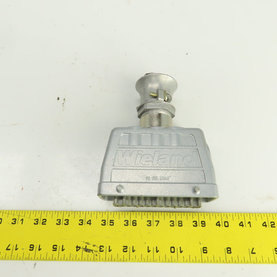 Wieland 70.300.2440 2-Row Female Connector 400V 16A 24 Hole W/73.362.6428.0 Hood