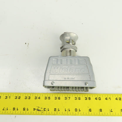 Wieland 70.300.2440 2-Row Female Connector 400V 16A 24 Hole W/73.362.6428.0 Hood