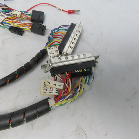 Reliance Electric 813.10.01D Adapter Board W/ Wiring Harness & Ribbon Cable