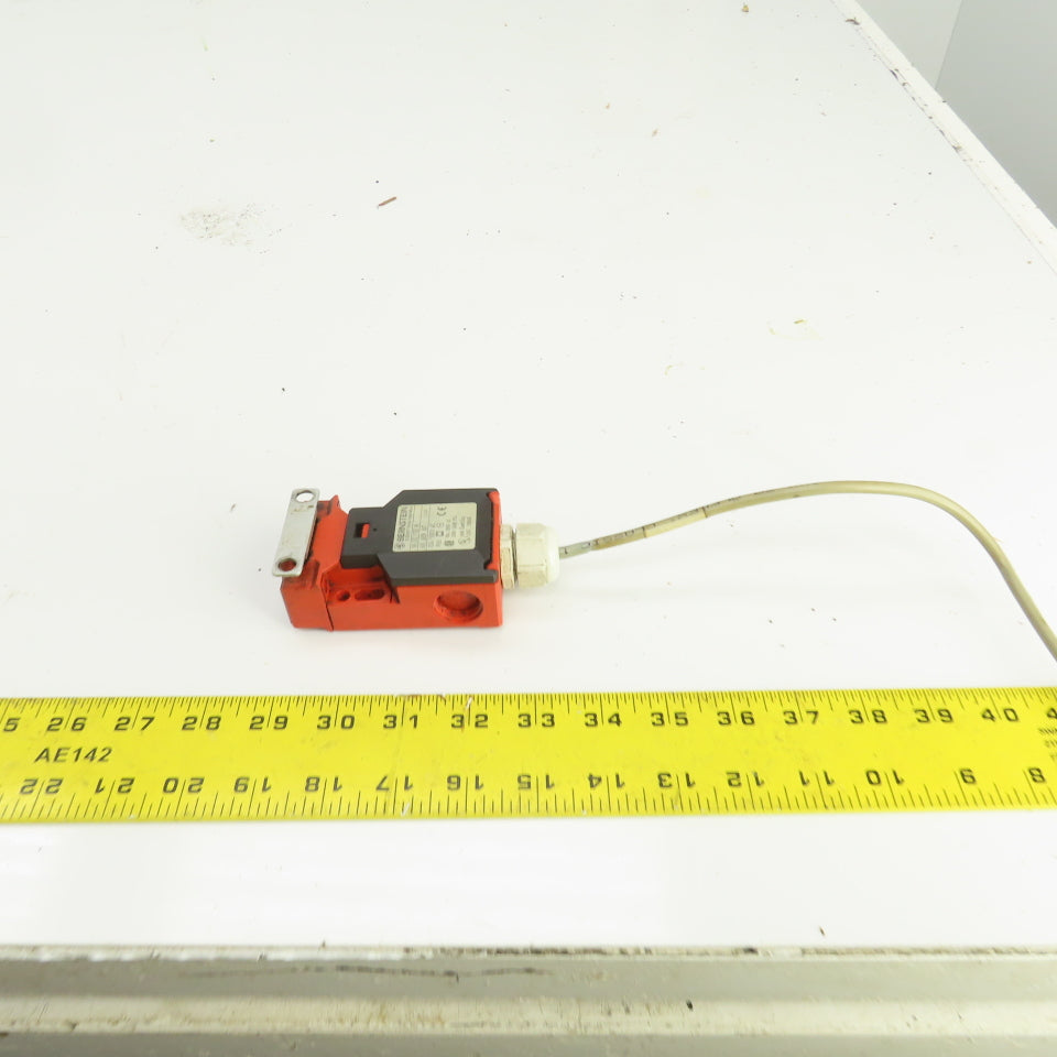 Bernstein SK-U1Z F30 M 611.6119.047 Safety Key Interlock Switch 10A 500V W/Key