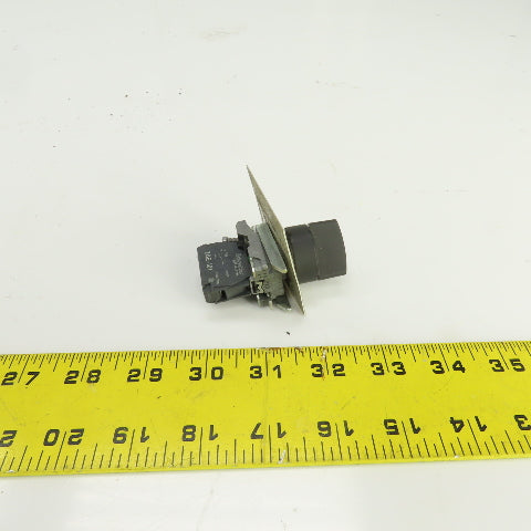 Schneider 2 Position Selector Switch 600V W/ZBE-101 Contact Block