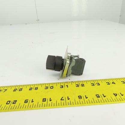 Schneider 2 Position Selector Switch 600V W/ZBE-101 Contact Block
