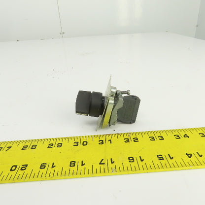 Schneider 2 Position Selector Switch 600V W/ZBE-101 Contact Block