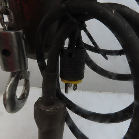 Lodestar Model A 1/8 Ton Electric Chain Hoist 10' Lift 32FPM 120V 1Ph