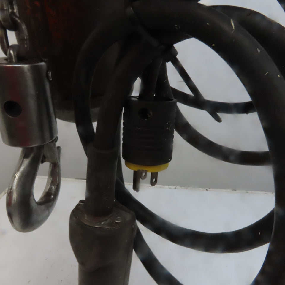 Lodestar Model A 1/8 Ton Electric Chain Hoist 10' Lift 32FPM 120V 1Ph