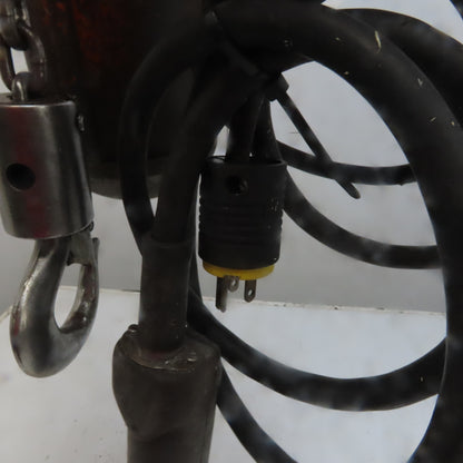 Lodestar Model A 1/8 Ton Electric Chain Hoist 10' Lift 32FPM 120V 1Ph
