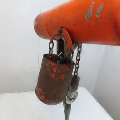 Lodestar Model A 1/8 Ton Electric Chain Hoist 10' Lift 32FPM 120V 1Ph