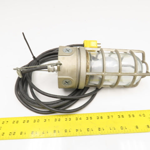 150W Damp Location Caged Safety Hanging Utility Light 16' Cord