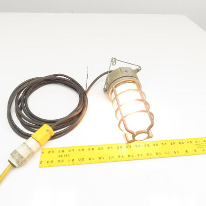 150W Damp Location Caged Safety Hanging Utility Light 16' Cord