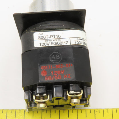 Allen Bradley 800T-PT16 120V Illuminated Push Button Momentary Switch White