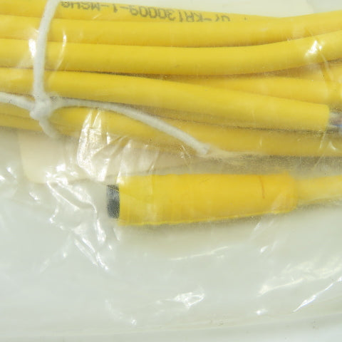 Turck PKG 3-6 U2517-24 Cordset Cable Female To Cut End 3 Wire