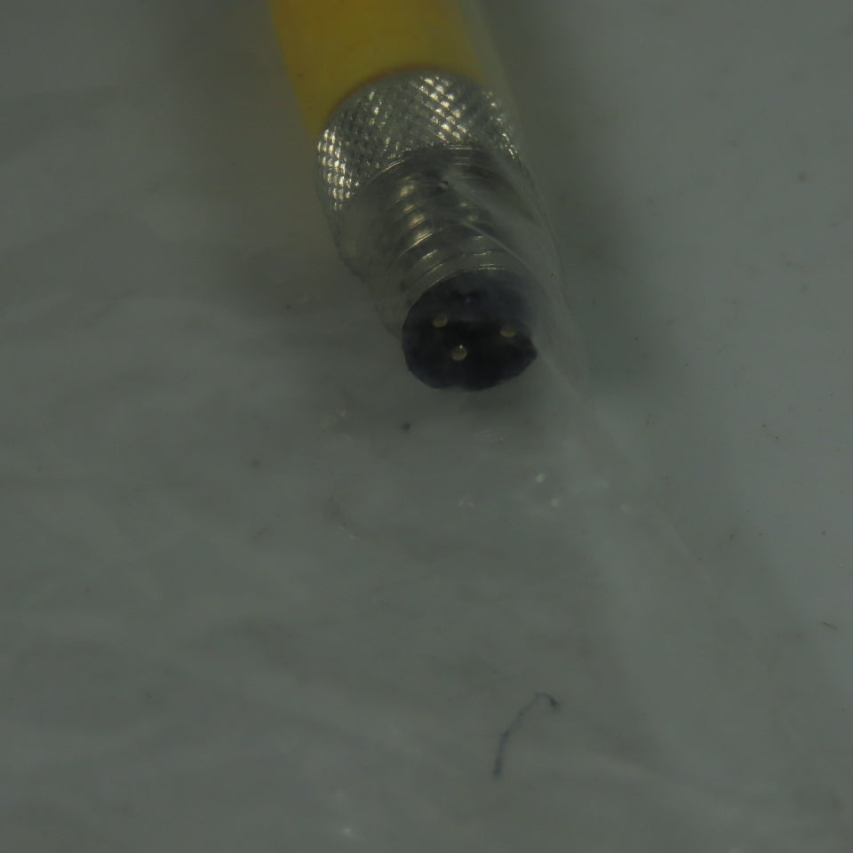 Turck RK 4T-0.6-PSGC 3M/S1291 Cordset Cable Straight Male To Straight Female